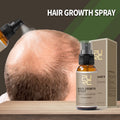 Spray Fixant Capillaire — Tenue & Protection Thermique